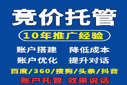 SEM推广实战：成功案例解读与策略调整
